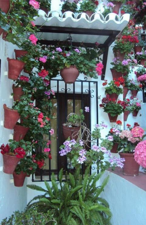 Hostal Los Claveles Baena Dış mekan fotoğraf